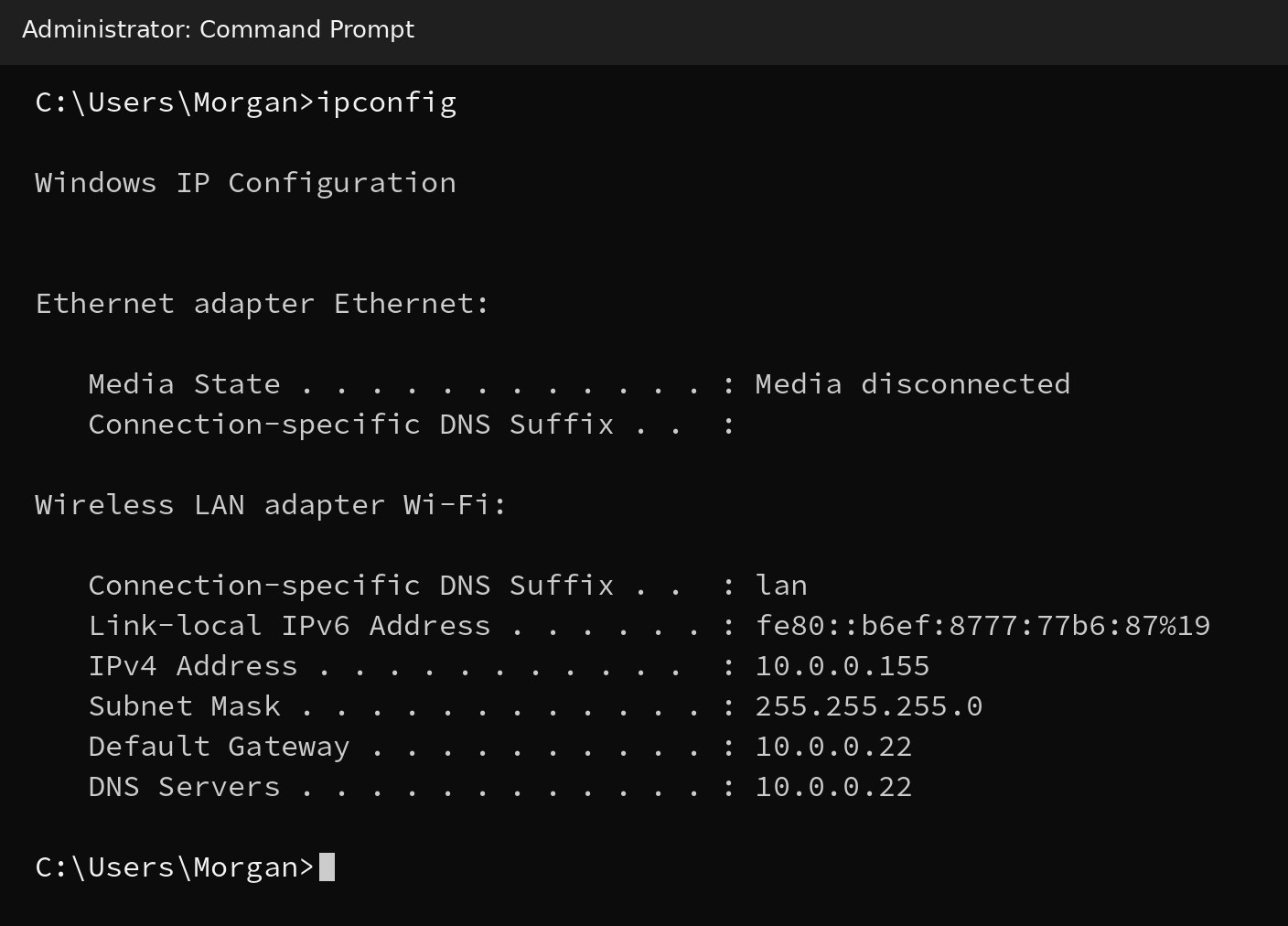 ipconfig in Command Prompt: this computer is 10.0.0.155, subnet mask 255.255.255.0, default gateway and DNS 10.0.0.22