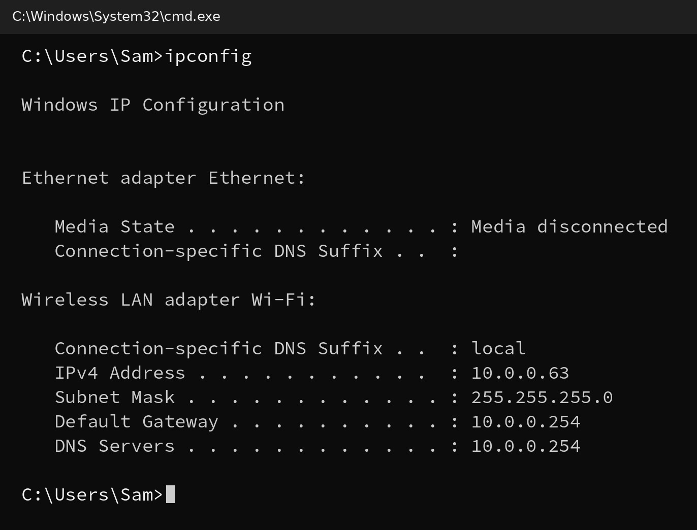 ipconfig in Command Prompt: this computer is 10.0.0.63, subnet mask 255.255.255.0, default gateway and DNS 10.0.0.254
