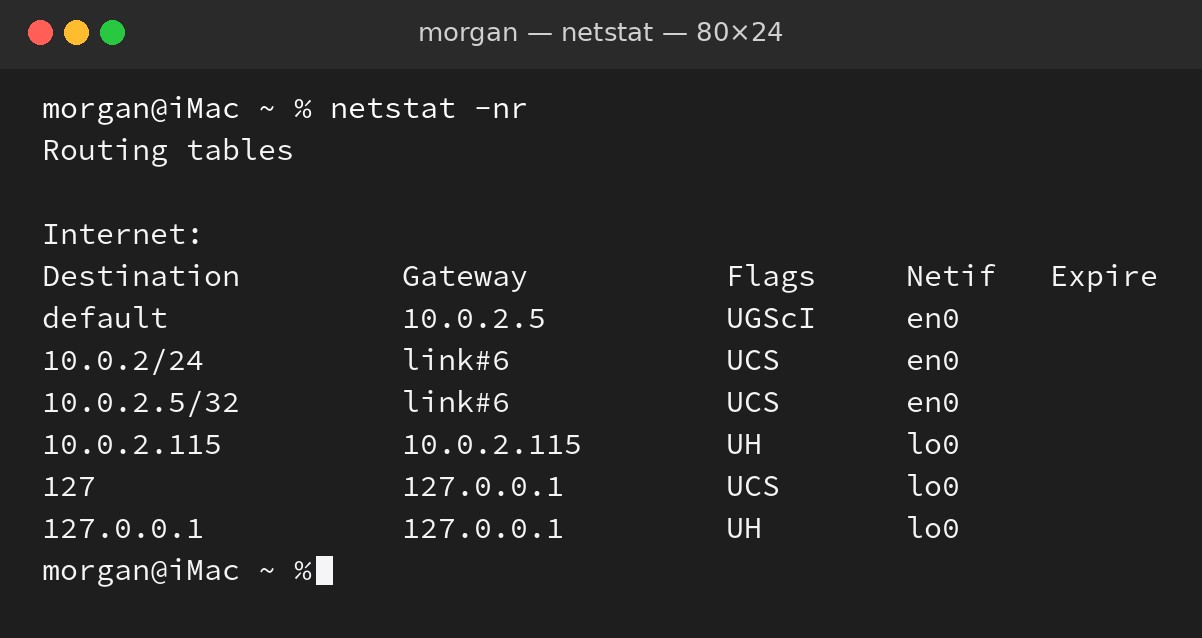 netstat -nr in Terminal on a Mac: this computer is 10.0.2.115, subnet mask 255.255.255.0, default gateway and DNS 10.0.2.5